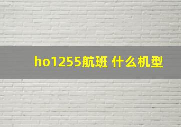 ho1255航班 什么机型